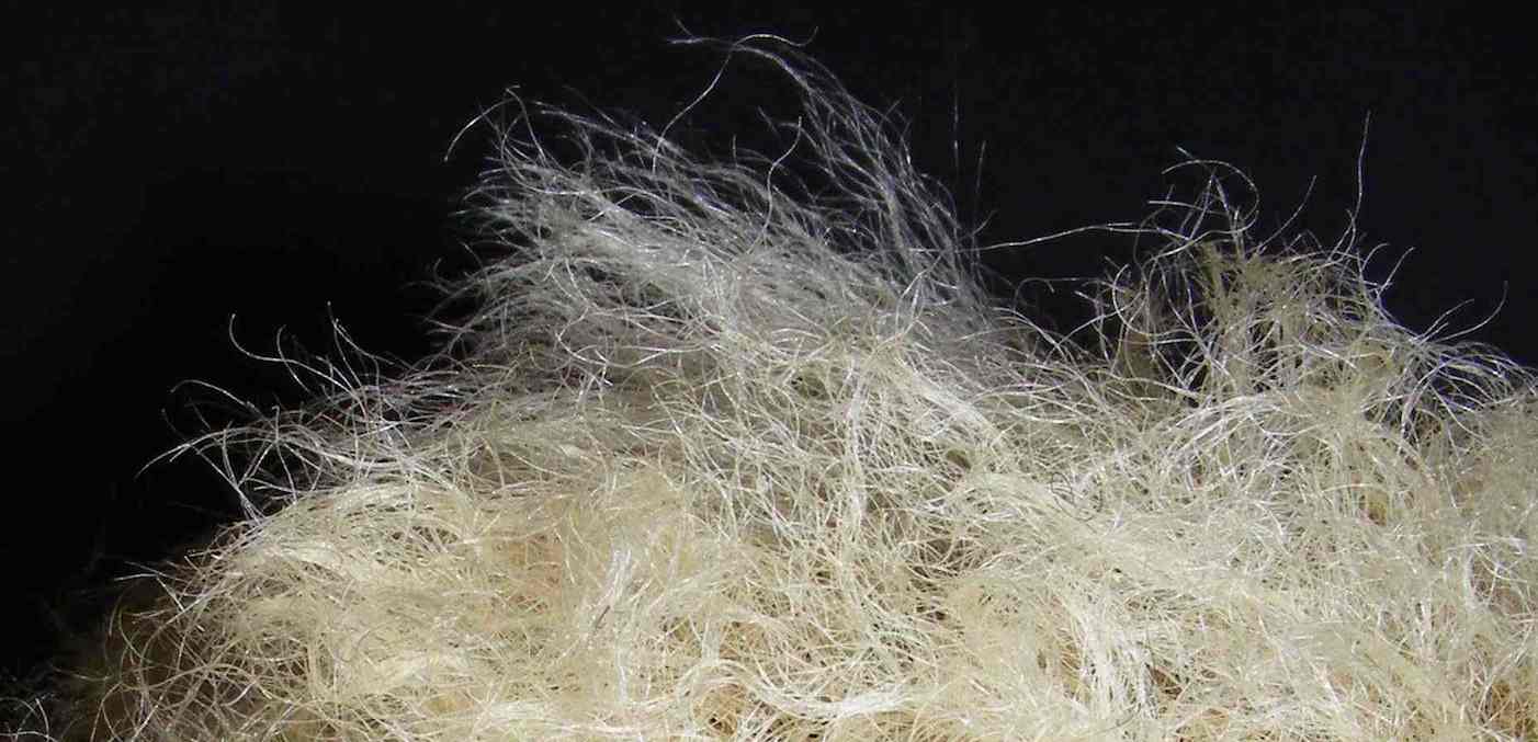 dry-hair.jpg dry-hair.jpg